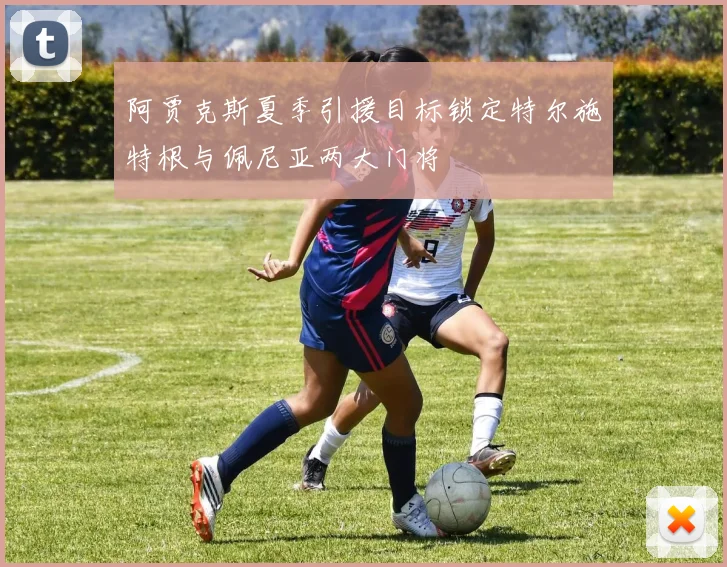 阿贾克斯夏季引援目标锁定特尔施特根与佩尼亚两大门将